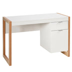 Computer Desk with Storage Cabinet Pull-out Drawer Stable