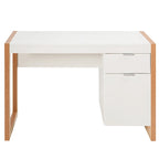 Computer Desk with Storage Cabinet Pull-out Drawer Stable